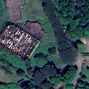 Piscine Forest