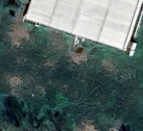 Abandoned pool decor - Italy