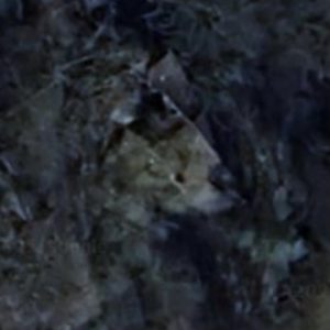 Abandoned Carpenter house - Luxembourg