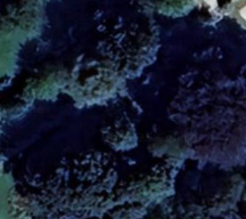 Abandoned Mansion Decay - Belgium