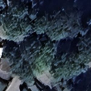 Abandoned Urbex Pool Muzik - Belgium