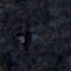 Abandoned Urbex Fort R - Belgium