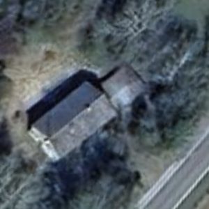 Abandoned villa House tree - Belgium