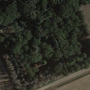 Abandoned Urbex Cars forest - Belgium