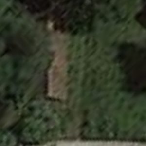 Abandoned villa House Mona - Belgium