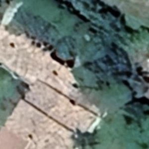 Abandoned Urbex church angelo - Italy