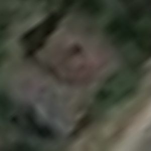 Abandoned villa House Mot - Belgium