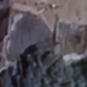 Abandoned Farm Pigeons - Italy