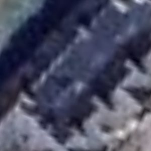 Abandoned Asylum P - United Kingdom