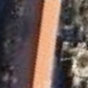 Abandoned villa House Bertha - Germany