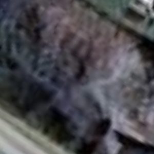 Abandoned villa house grandma - France