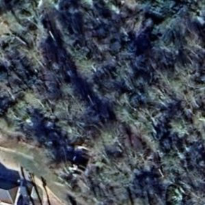 Abandoned church D - France