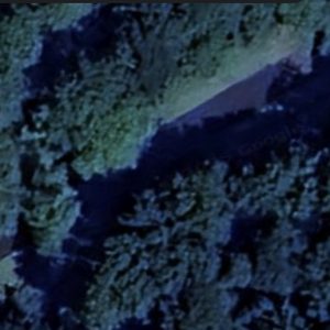 Abandoned Urbex school Forest - France