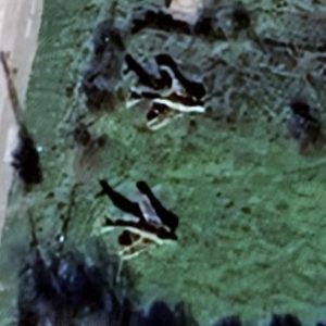 Abandoned Mig planes - Bulgaria