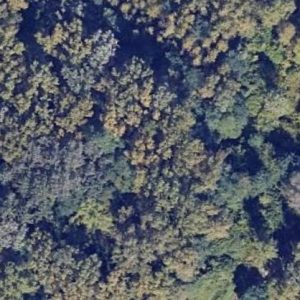 Abandoned Bunker Beta - Slovakia