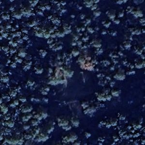 Abandoned church Forest - France