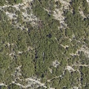 Abandoned Bunker Mountain - France