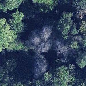 Abandoned villa House Exelum - France