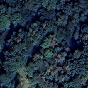 Abandoned Bunker rocket - Poland