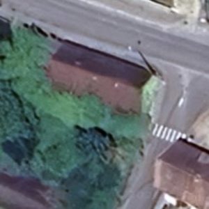 Abandoned villa House Blood - France