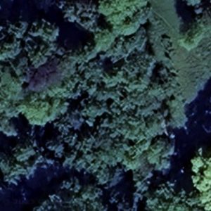 Abandoned Castle English - France