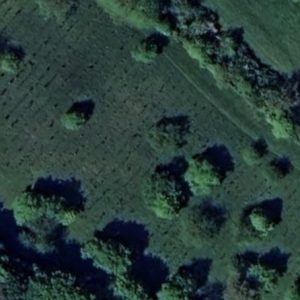 Abandoned Hidden cemetery - France