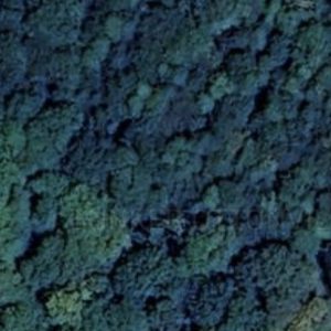 Abandoned Bunker Com - France