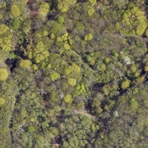 Abandoned Urbex Fort Ce - France