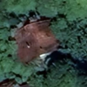 Abandoned villa House Doll - France