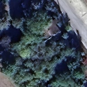 Abandoned villa House Tree - France