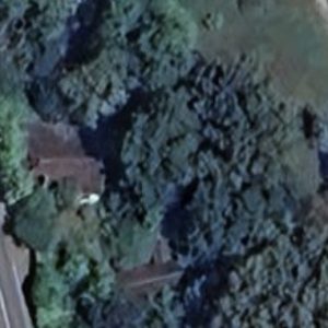 Abandoned villa House Dog - France