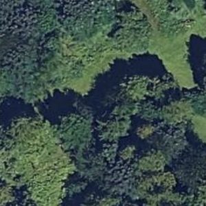 Abandoned Cemetery Protestant - Poland