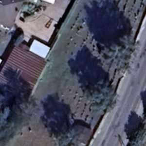 Abandoned Cemetery J - Poland