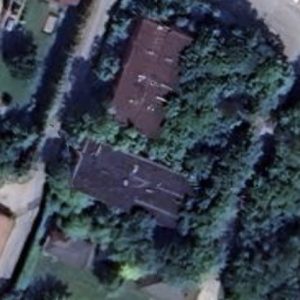 Abandoned Factory Tree - Poland