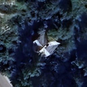 Abandoned villa House U - Poland