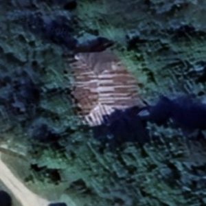 Abandoned villa House 981 - Poland