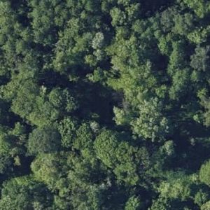 Abandoned Urbex Fort Hidden - Poland
