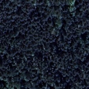 Abandoned Cemetery German - Poland