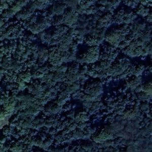 Abandoned Urbex Fort W - Poland