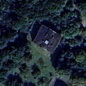 Abandoned Palace Forest - Poland