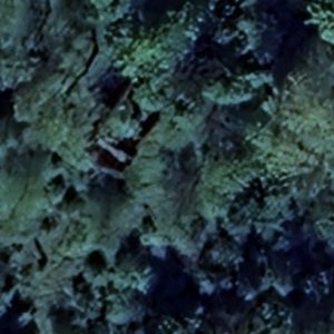 Abandoned Urbex Mausoleum Ruins - Poland