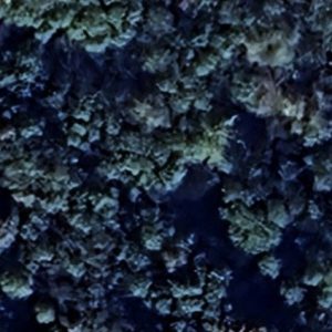 Abandoned Urbex Fort Five - Poland